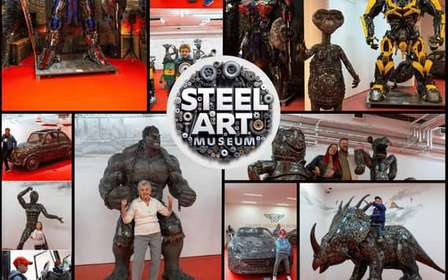 Praag: Galerie van stalen figuren Entree Ticket