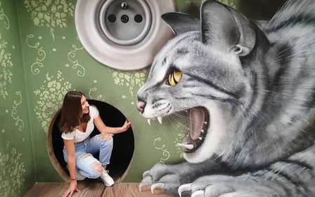 Praag: Museum van de Fantastische Illusies Toegangsbewijs