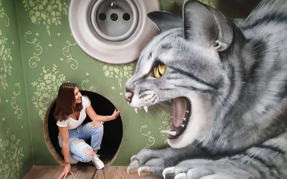 Praag: Museum van de Fantastische Illusies Toegangsbewijs