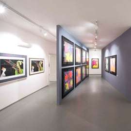 Praag: ticket voor Central Gallery met tot drie tentoonstellingen