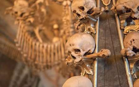 Vanuit Praag: Kutna Hora UNESCO Tour met bottenkapel