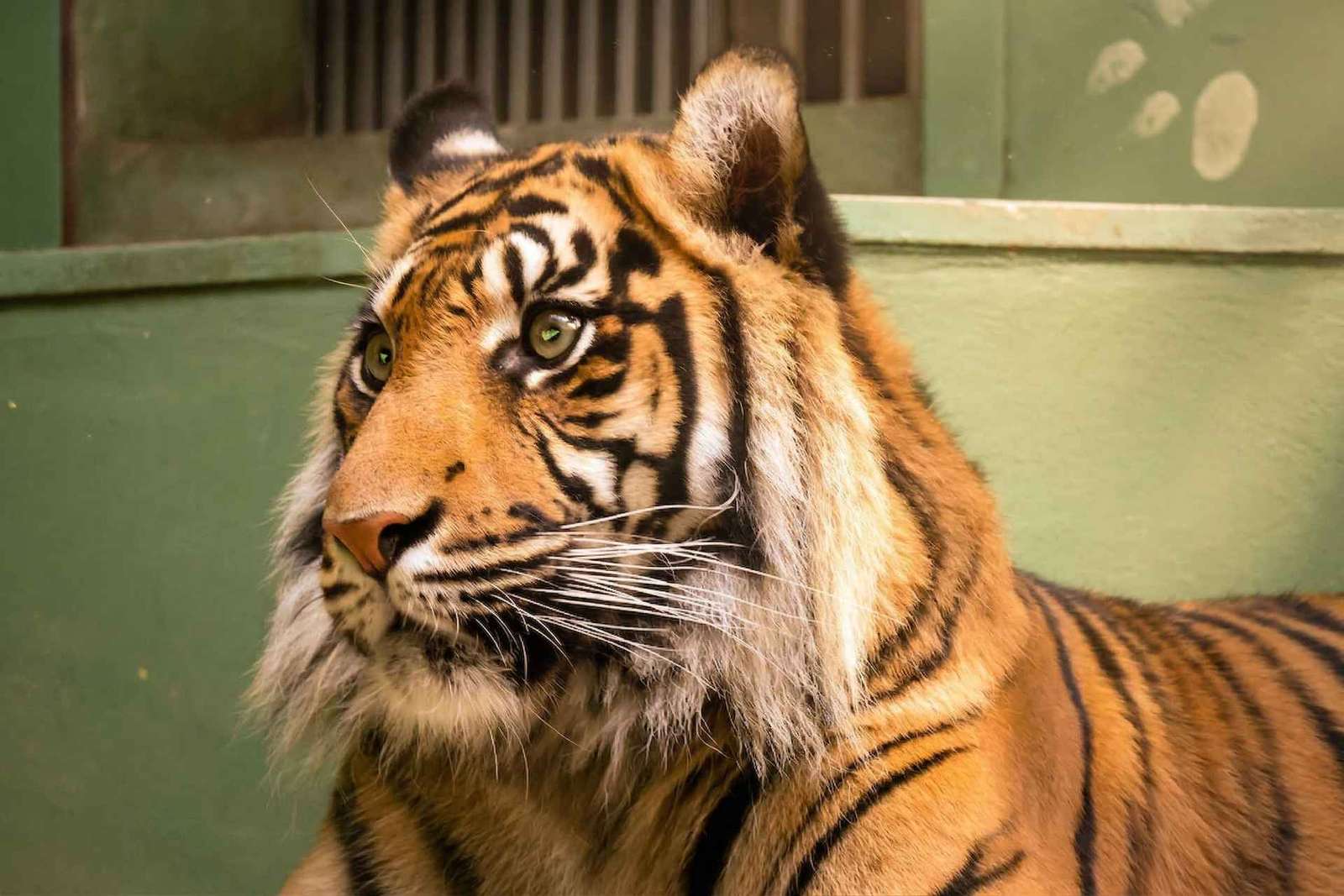Praag: Dierentuin van Praag audiogids met e-ticket