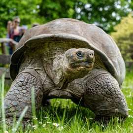 Dierentuin Praag met voorrangsticket in de wijk Troja