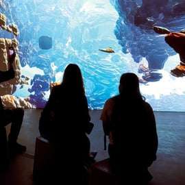 Praag: Ticket voor audiovisuele lichtkunst in Lumia Gallery