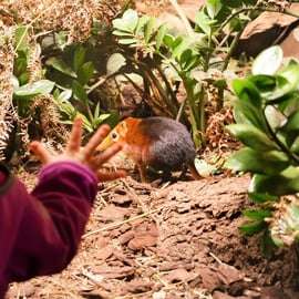 Praag: Dierentuin van Praag audiogids met e-ticket